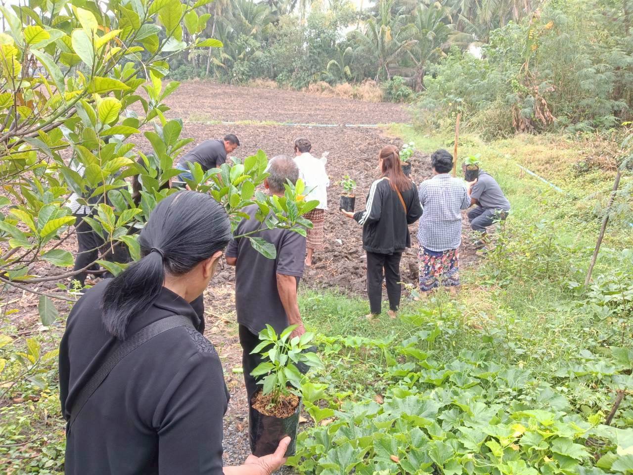 🌻🛶สำนักงานพัฒนาชุมชนอำเภอเสาไห้  น้อมนำแนวพระราชดำริของสมเด็จพระกนิษฐาธิราชเจ้า กรมสมเด็จพระเทพรัตนราชสุดาฯ สยามบรมราชกุมารีสู่ปฏิบัติการปลูกผักสวนครัวเพื่อสร้างความมั่นคงทางอาหาร